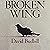 Broken Wing