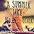 A Summer Like No Other: Broken Dreams: Em & Nick, Book 1