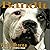 Bandit: The Heart-Warming True Story of One Dog's Rescue from Death Row