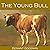 The Young Bull