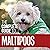 The Complete Guide to Maltipoos: Everything You Need to Know Before Getting Your Maltipoo Dog