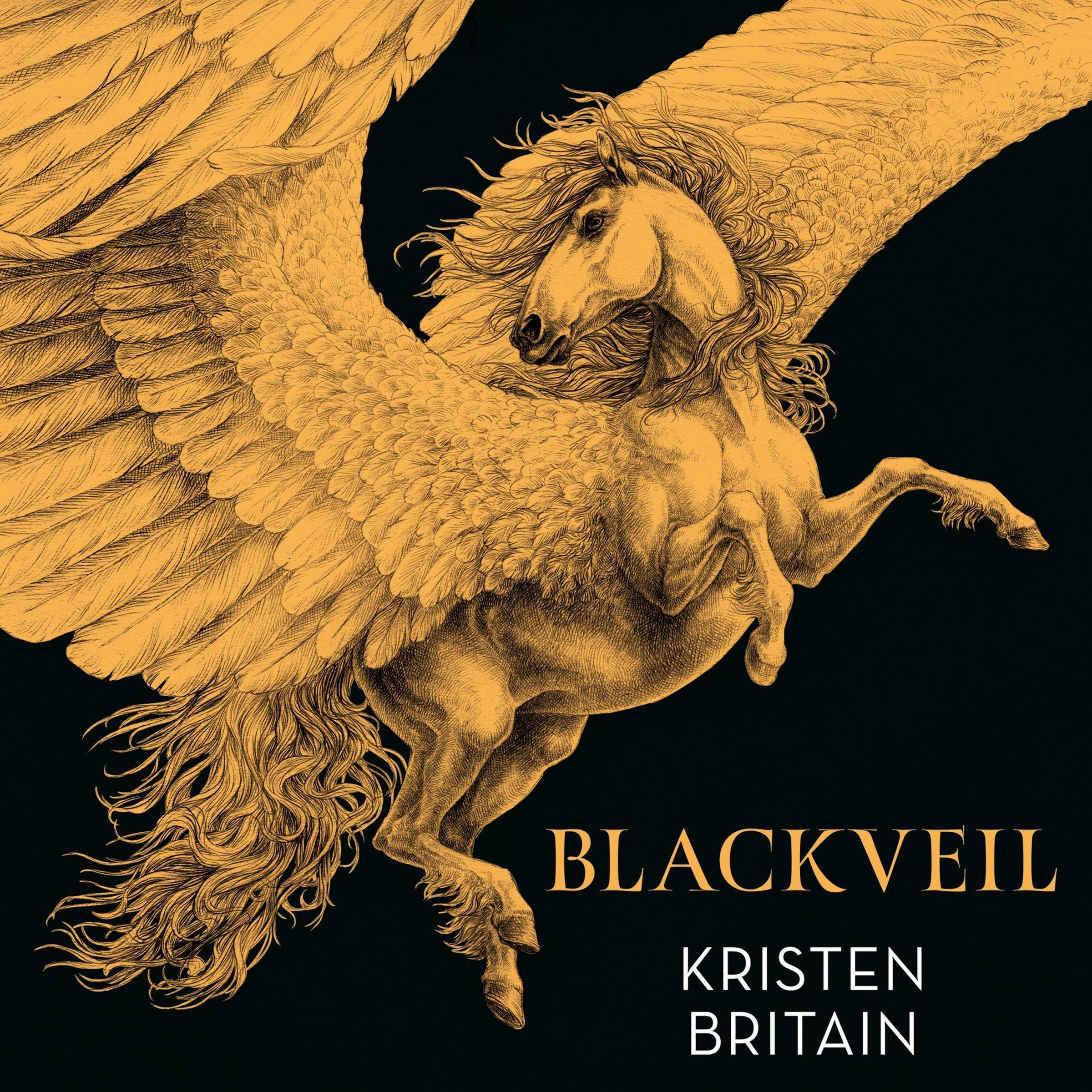 Blackveil: Book Four