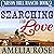 Searching for Love: Carson Hill Ranch, Book 2