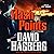 Flash Points: A Kirk McGarvey Novel