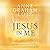 Jesus in Me: Experiencing the Holy Spirit as a Constant Companion