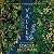Valley: The Glacian Trilogy, Book III