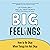 Big Feelings: How to Be Okay When Things Are Not Okay