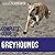 The Complete Guide to Greyhounds: Finding, Raising, Training, Exercising, Socializing, Properly Feeding, and Loving Your New Greyhound Dog