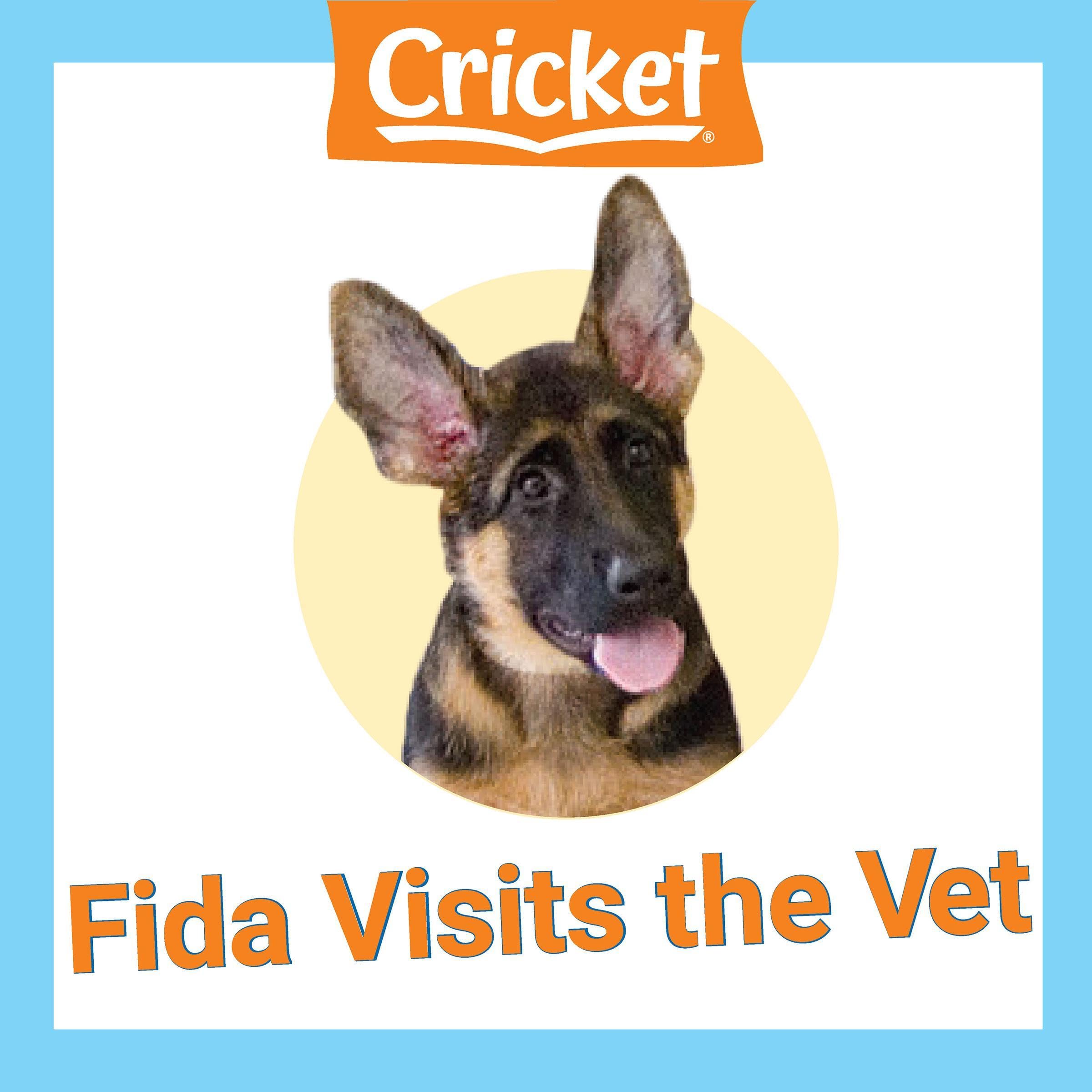 Fida Visits the Vet (Audible Audio)