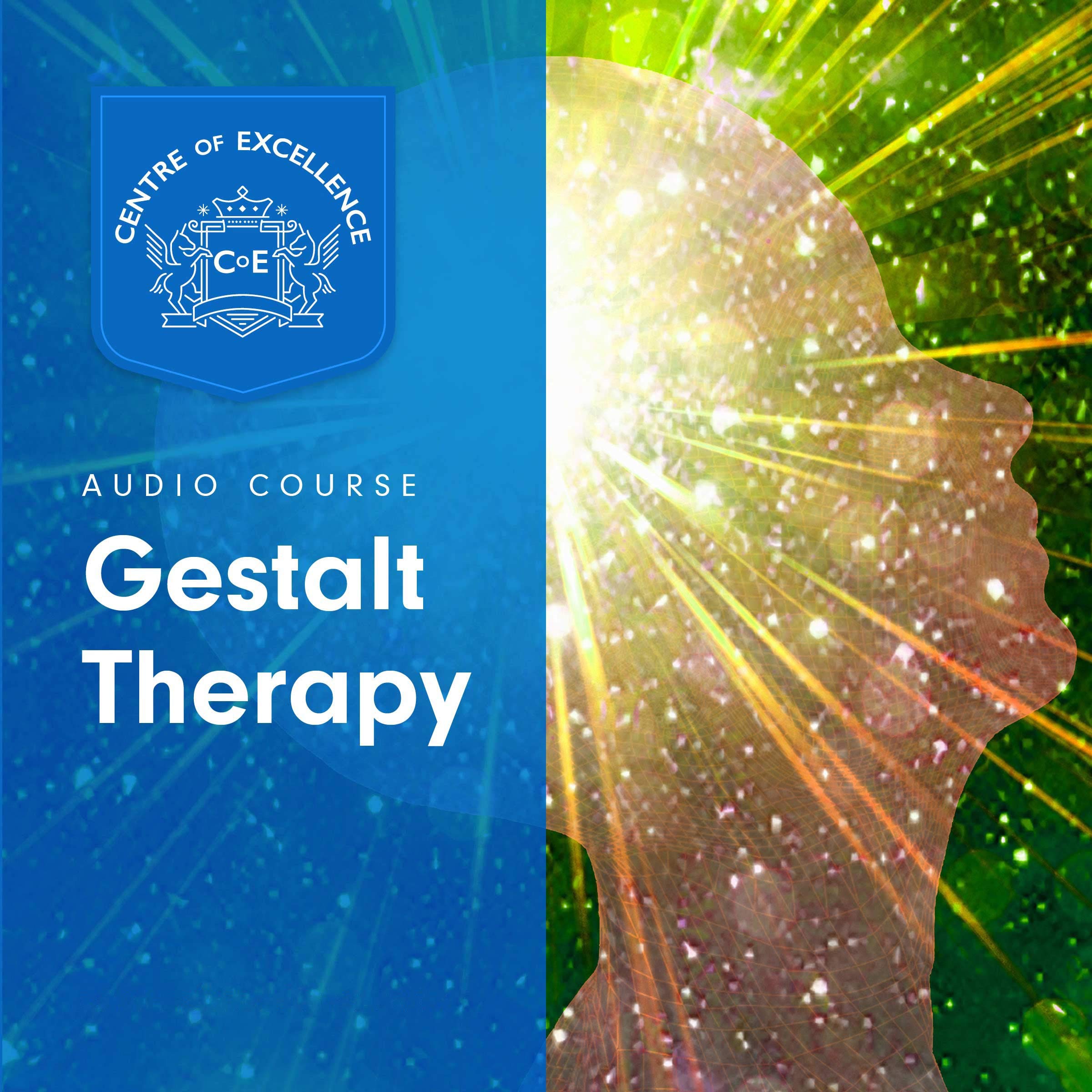 Gestalt Therapy (Audible Audio)