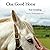 One Good Horse