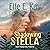 Shadowing Stella: A Christian Romantic Suspense Novel: Endless Mountain Series, Book 1