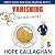 Vanishing Vacationers by Hope Callaghan Vanishing Vacationers by Hope Callaghan