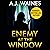 Enemy at the Window: A Nail-Biting Psychological Thriller