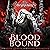 Blood Bound: Beshadowed: A Supernatural Urban Fantasy, Book 2