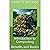 Introduction to Composting: Benefits and Basics