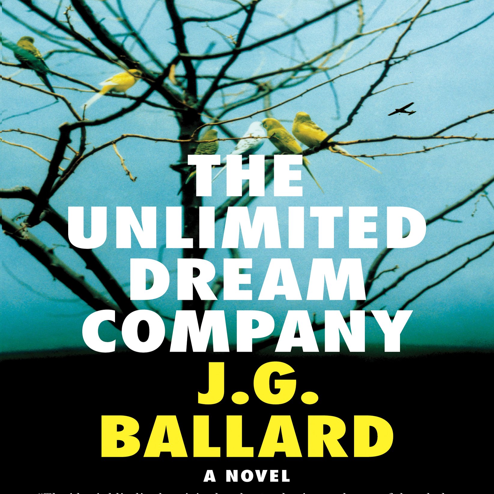 The Unlimited Dream Company