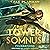 Foundations: A LitRPG Adventure (Tower of Somnus, Book 1)