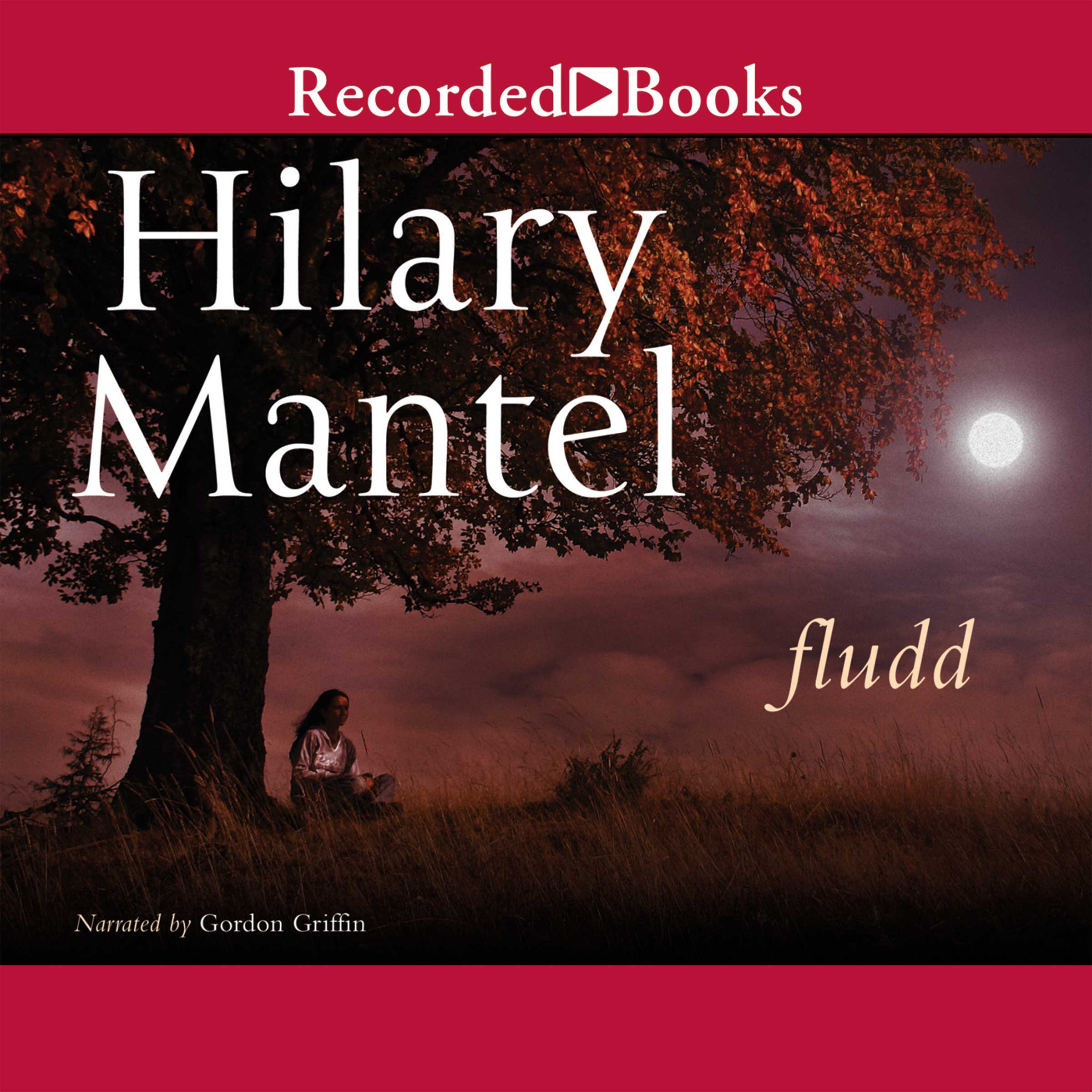 Fludd: A Novel