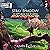 Stray Shadow: Oh Sh*t! Wrong Side of Heaven! (Arachnomancer, Book 2)