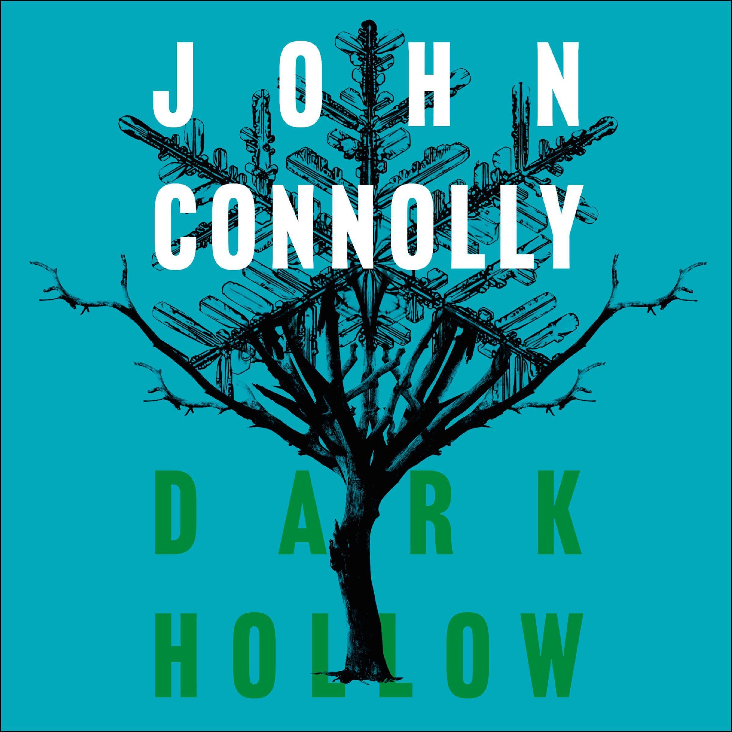 Dark Hollow: A Charlie Parker Thriller, Book 2