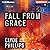 Fall From Grace: Detective Jane Candiotti