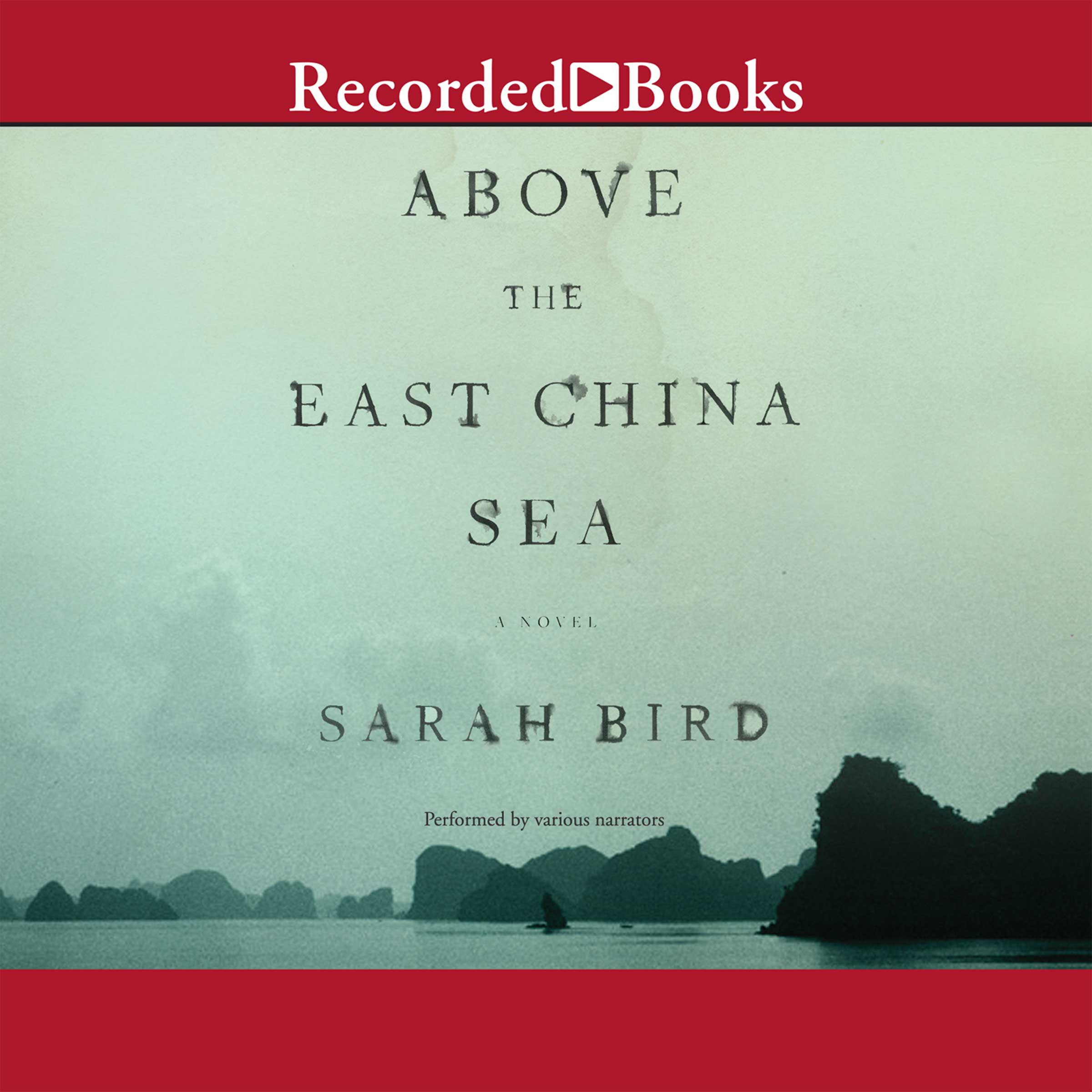 Above the East China Sea: A Novel