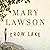 Crow Lake by Mary Lawson