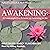 Awakening: A Contemplative Primer on Learning to Sit