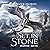 Set in Stone: The Petralist, Book 1