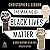 The Making of Black Lives Matter (2nd Edition): A Brief History of an Idea