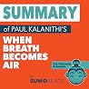 Summary of Paul K...