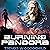 Burning Pandora: A Space Opera