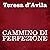 Cammino di perfezione