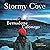 Stormy Cove