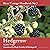 Hedgerow: River Cottage Handbook, Book 7