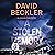 A Stolen Memory: An Antonia Conti Thriller, Book 2