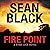 Fire Point: Ryan Lock, Book 6