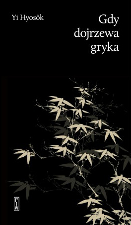 Gdy dojrzewa gryka (Paperback)