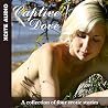 Captive Dove: A c...