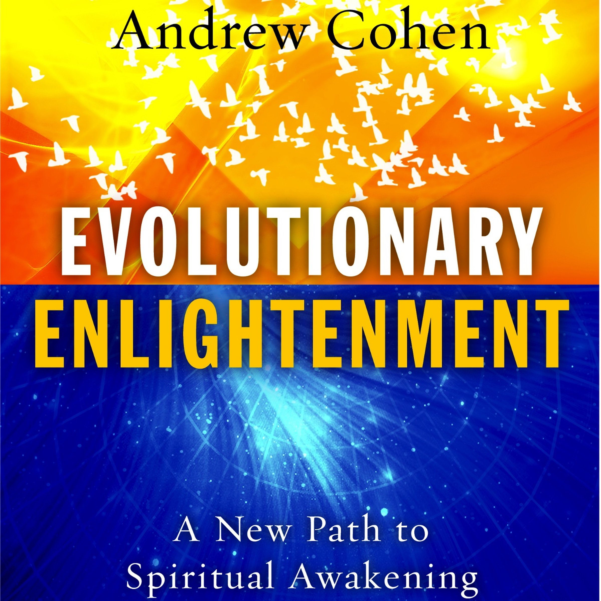 Evolutionary Enlightenment: A New Path to Spiritual Awakening