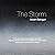 The Storm