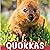 Quokkas: Animals