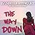 The Way Down: Broken Mirror, Book 1