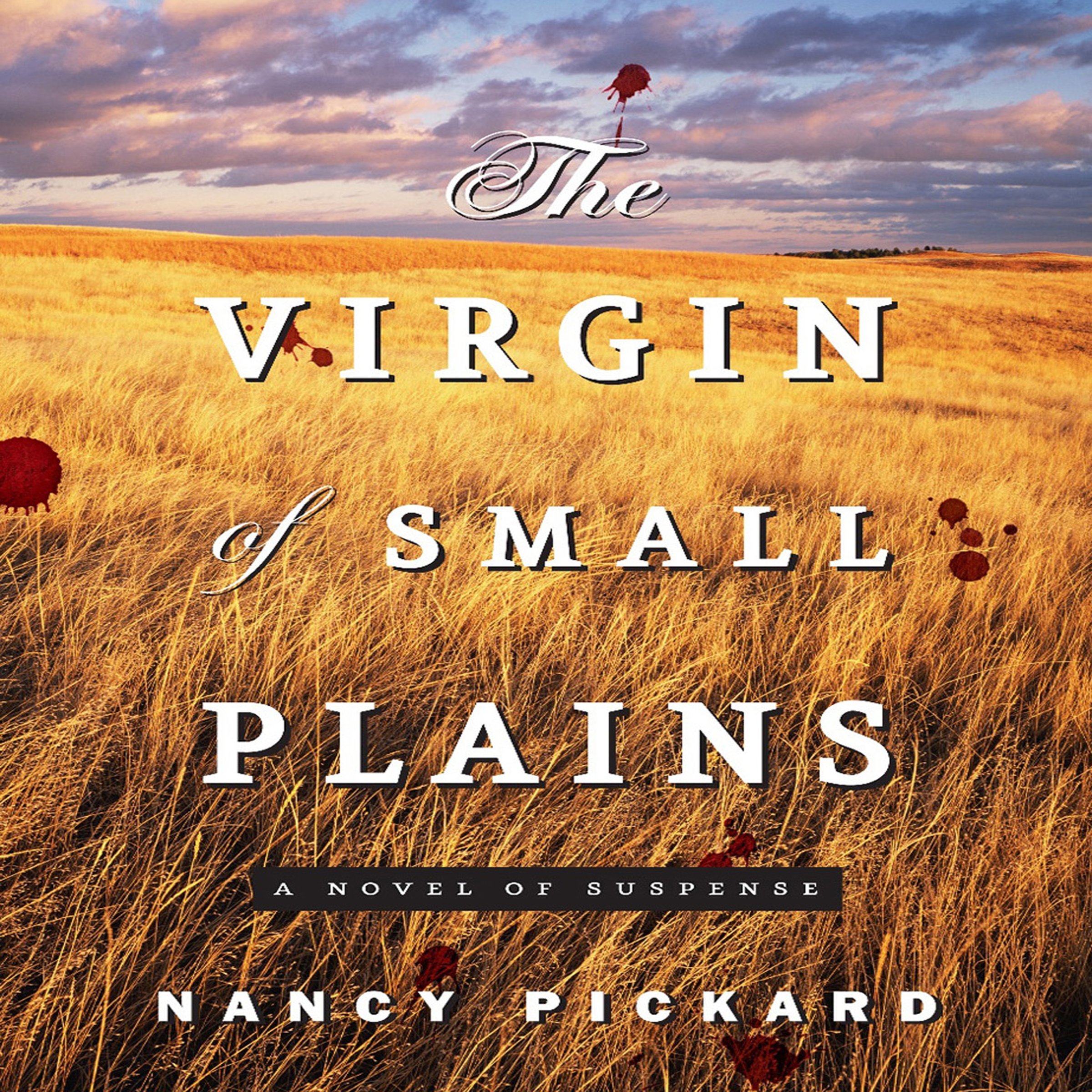 The Virgin of Small Plains