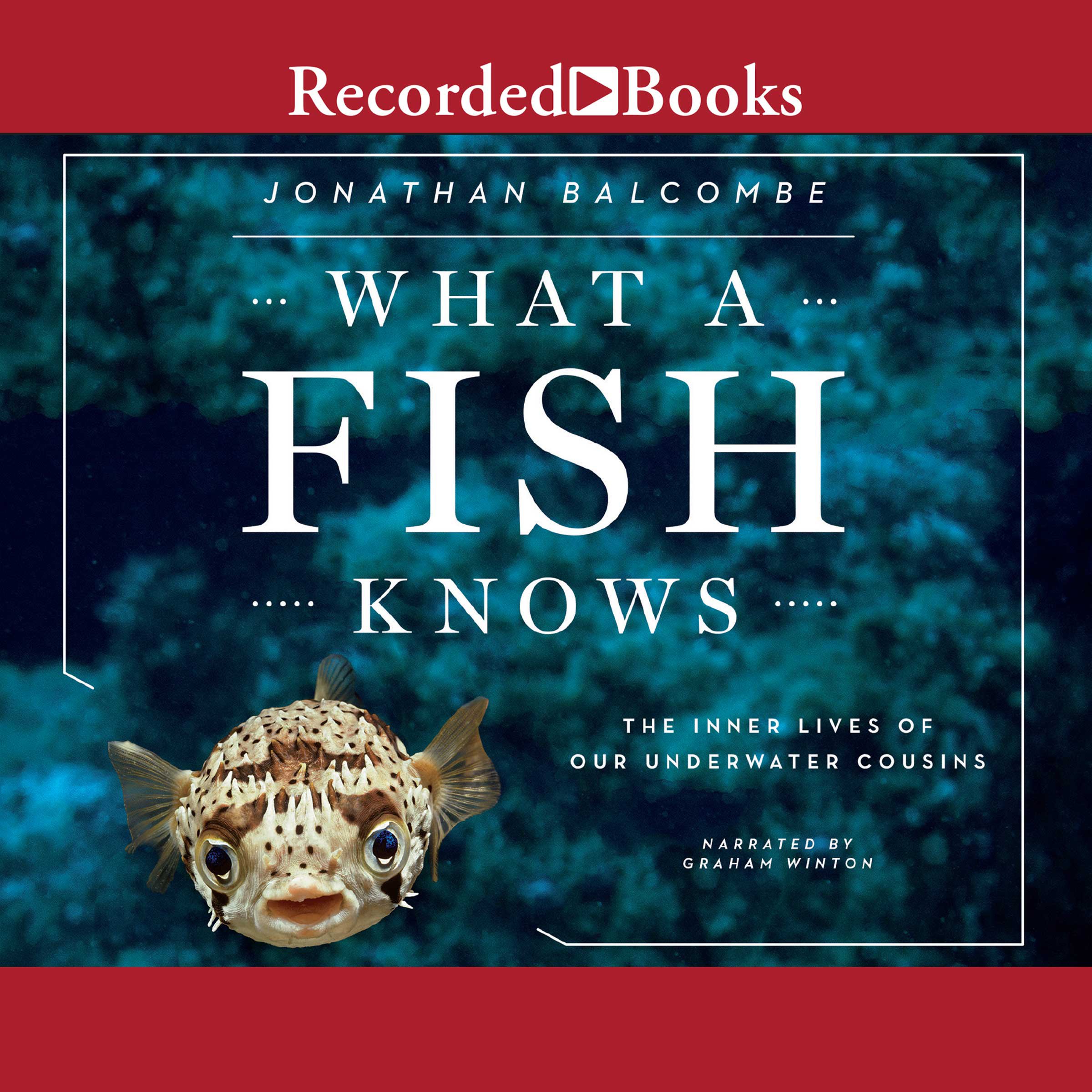 What a Fish Knows: The Inner Lives of Our Underwater Cousins