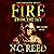 Ashes: Fire From the Sky, Book 11