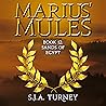Sands of Egypt by S.J.A. Turney