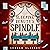 Sleeping Beauty's Spindle: Fairy-Tale Inheritance Series, Book 5