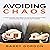 Avoiding Chaos